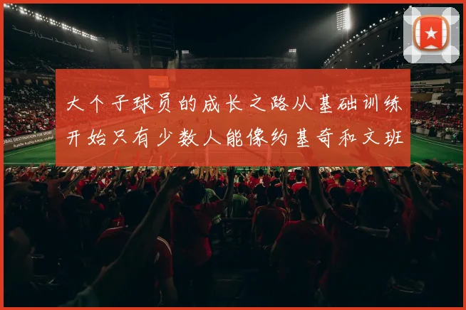 大个子球员的成长之路从基础训练开始只有少数人能像约基奇和文班那样成功