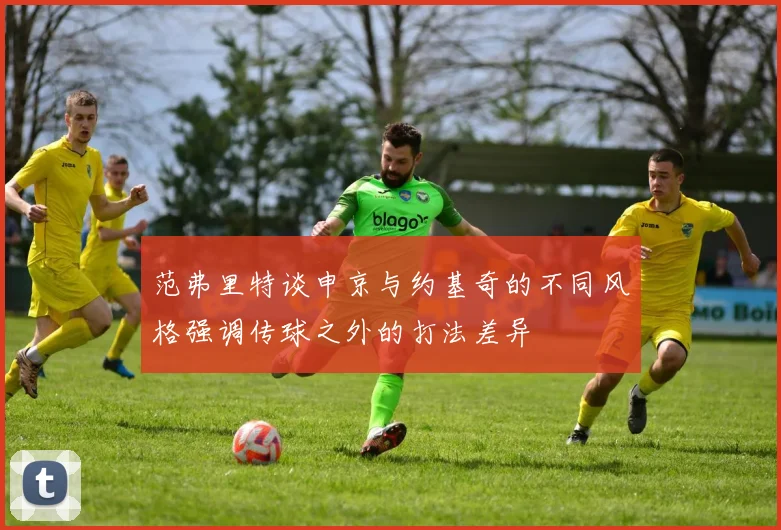 范弗里特谈申京与约基奇的不同风格强调传球之外的打法差异