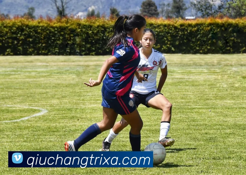 球长体育全站App